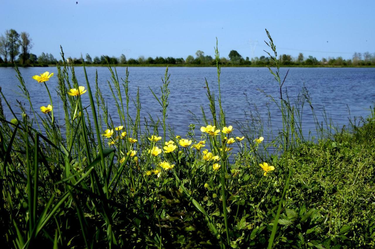 Villa Peschiera Gazzo  Bagian luar foto